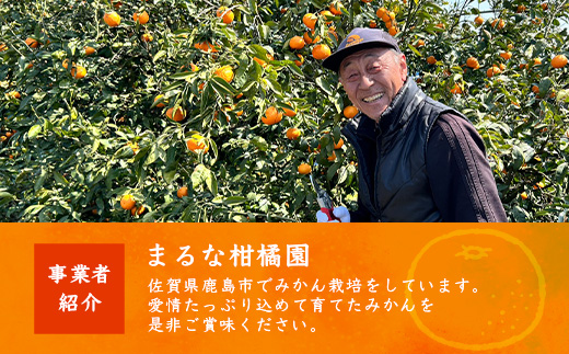【希少な柑橘・期間限定】訳あり南津海（なつみ） 5kg　　B-484