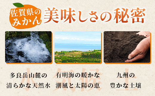 佐賀県産 温州みかん 約11kg（2L～3L混載）大玉みかん【11月下旬～1月上旬ごろ配送】B-802