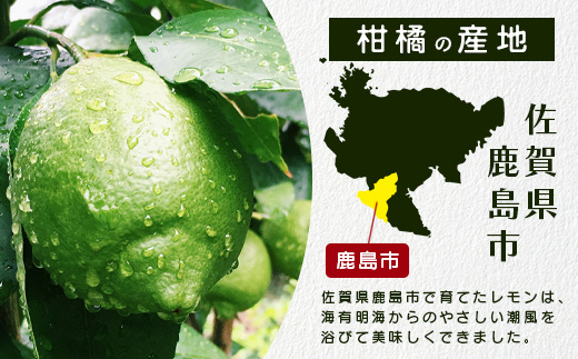 B-367 リスボンレモン【約5kg】メディアも注目の柑橘類の名人直送！レモン れもん 檸檬 果物 生搾り 料理 菓子 サワー お酒 国産 佐賀県鹿島市産 人気 