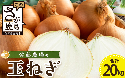C-205 ＼生産者直送／佐藤農場が育てた鹿島市産玉ねぎ 10kg×2箱（20kg）｜鹿島市産 玉ねぎ 佐藤農場 産地直送 新鮮 野菜 大容量