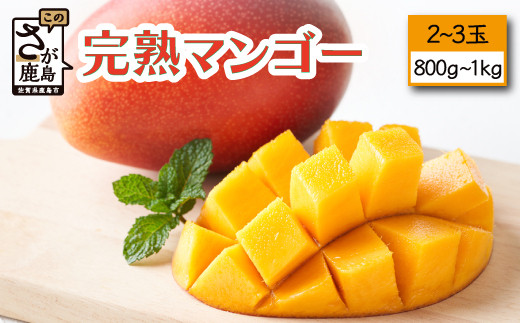 B-118【生産者直送】濃厚完熟!まっちゃんマンゴー（2～3玉 800g～1kg程度）【2026年5月中旬頃から6月初旬頃発送予定】