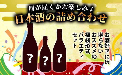 【訳あり】熟成貯蔵酒 日本酒バラエティセット｜純米大吟醸・純米吟醸など数種類からお届け 清酒 飲み比べセット 佐賀県鹿島市 B-584