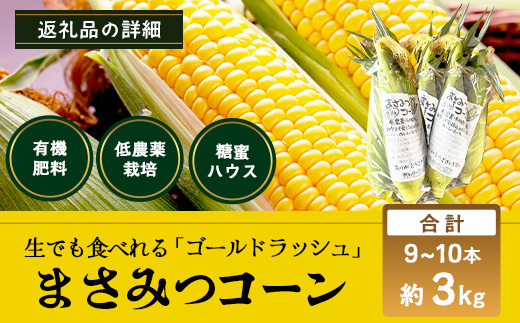 予約受付 スイートコーン （ゴールドラッシュ）9~10本 | 朝採れ 冷蔵発送 とうもろこし トウモロコシ コーン 野菜 高糖度 春 夏 旬 鹿島市産 佐賀県産 【2026年5月中旬～順次発送】佐賀県 鹿島市 人気 C-180