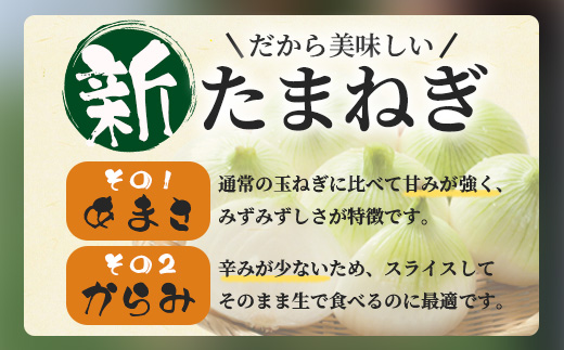 甘～い！新たまねぎ 約5kg (MLサイズ）生産者直送！★大自然育ち【2026年4月より順次発送】タマネギ 玉葱 新タマ 新玉ねぎ サラダ 惣菜 お料理 ストック 箱買 美味しい 甘い 常備野菜 佐賀県 鹿島市産 人気 送料無料 A-180