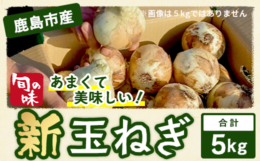 【予約受付】鹿島市産 新玉ねぎ 合計5kg A-207 たまねぎ 玉葱 サラダ 料理【2026年4月中旬より順次発送】