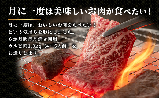 佐賀牛　もりもりカルビ肉（焼き肉用）定期便６回コース　総重量６kg 