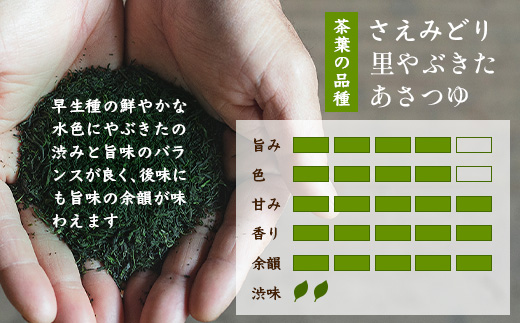 うれしの茶 特上煎茶「金」 90g × 1本（リーフ）A-199 茶葉 煎茶 緑茶 日本茶 佐賀