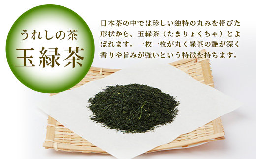 【ギフトにおすすめ】 佐賀県産 上煎茶 うれしの茶 100g×3本【合計300g】美味しいお茶を贈り物に B-666