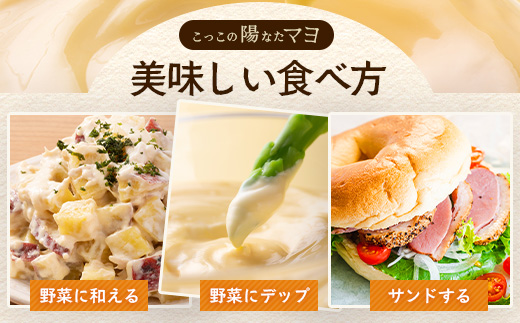 ＼濃厚卵のマヨネーズ／瓶詰め マヨネーズ 3本セット | 上田養鶏場のこっこの陽なたマヨ 170g | マヨネーズ マヨ 調味料 たまご 平飼い お料理 安心 安全 玉子 サラダ ディップ ポテトサラダ ドレッシング 送料無料　B-812