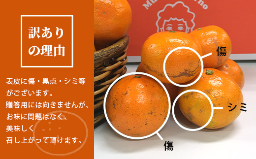 【先行予約】（2026年11月上旬～発送）”わーがと”鹿島産がばい訳アリみかん 約10kg【サイズ別】 【期日指定不可】みかん ミカン 蜜柑 柑橘 果物 フルーツ 甘い ふるさと納税 佐賀県 鹿島市 A-90