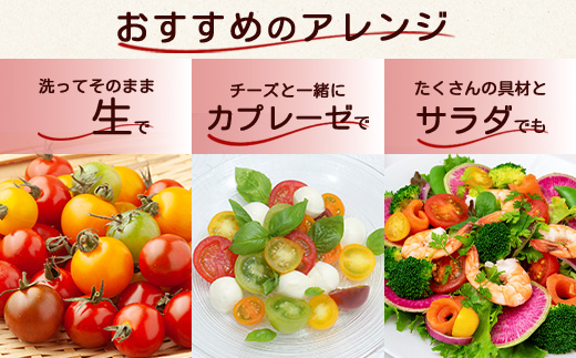 ãå
è¡äºçŽã ãã«ãã¡ãã¡ãŒã ã«ã©ãã«ããããã çŽ1kg ãRicotomato ãšããã«ãªããããã B-280