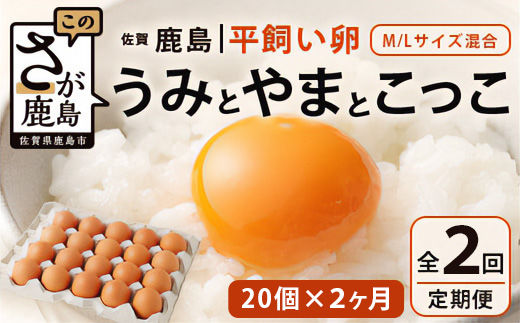 B-396【定期便】佐賀県鹿島産 平飼い卵「うみとやまとこっこ」上田養鶏場 たまご20個×2回