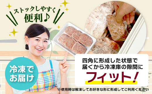 佐賀牛 手ごねハンバーグ 110g×6個【合計660g】牛肉 手ごね ハンバーグ 惣菜 E-164