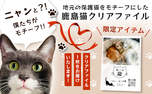 鹿島猫クリアファイル｜保護猫カフェねこの蔵 クリアファイル 保護猫 猫 古民家カフェ 支援 鹿島市 猫カフェ カフェ プレゼント　AA-63
