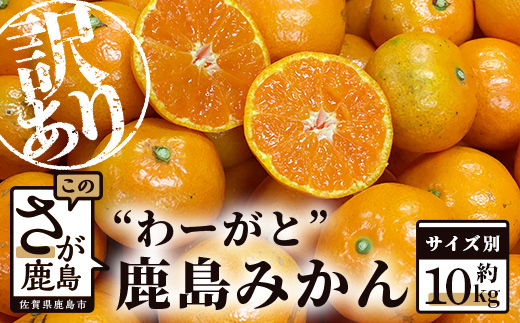 【先行予約】（2026年11月上旬～発送）”わーがと”鹿島産がばい訳アリみかん 約10kg【サイズ別】 【期日指定不可】みかん ミカン 蜜柑 柑橘 果物 フルーツ 甘い ふるさと納税 佐賀県 鹿島市 A-90