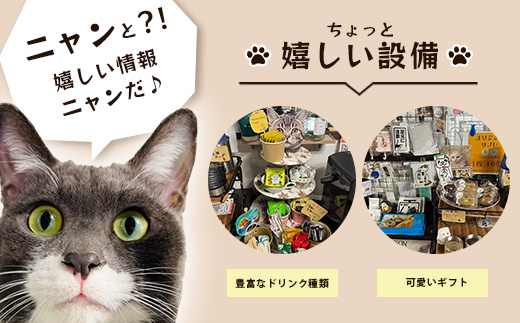 保護猫カフェねこの蔵 カフェ利用チケット｜保護猫カフェ 猫 古民家カフェ チケット 保護猫 支援 鹿島市 猫カフェ カフェ　AA-61