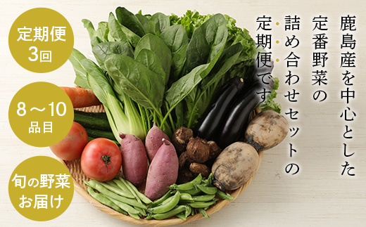 C-47 【３ヶ月お届け】旬のおまかせ野菜BOX定期便