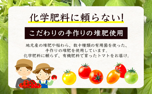  岩永さんちのカラフルミニトマト 約1kg（5色）【農林水産大臣賞受賞】有機肥料・化学肥料不使用｜生産者直送 野菜 とまと サラダ おやつ お弁当にも 健康志向  人気 【1月頃より配送開始】D-221