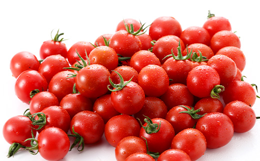 【先行予約】 たにぐちファーム 完熟ミニトマト 約1kg 『Ricotomato とりこになるトマト』 B-324