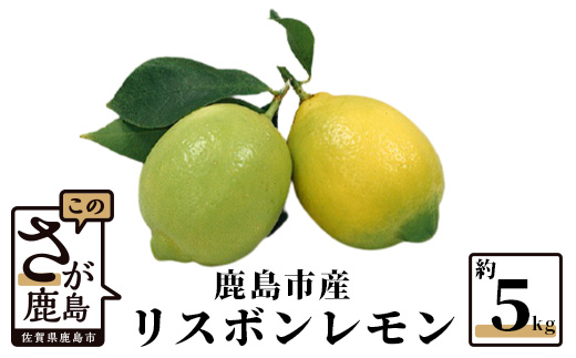 B-367【貴重な国産レモン】佐賀県鹿島産 リスボンレモン ５ｋｇ