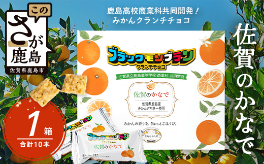 【鹿島高校 商業科 共同開発】みかん クランチチョコ 佐賀のかなで 鹿島産みかんパウダー使用 1箱（10本入）レターパックでの発送 佐賀 鹿島 チョコレート ご当地スイーツ A-229