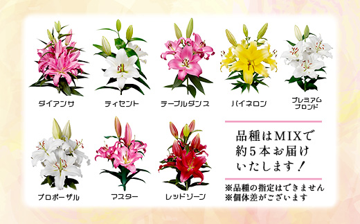 【生産者直送】【幸せと笑顔を届けるオリエンタルリリィ（約5本）】ユリ 百合 花 切り花 フラワー 艶やか 美しい 華やか 可憐 鮮やか 長持ち 強い 有機肥料 自然 人気 ラッピング プレゼント 贈り物 贈答 佐賀県 鹿島市 送料無料 B-313