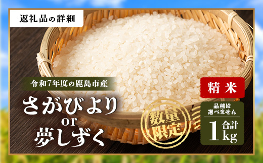 令和7年産 鹿島市産 [さがびよりor夢しずく] 1kg   どちらかランダム1袋 【品種指定不可】 玄米、精米　  AA-73