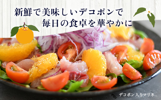 äºçŽåä» åºæºã¯ãªã¢ã®é«çŽææ©ããã³ãã³ãçŽ5kg äžç¥ç« ããã¬ã ã§ããœã ã¿ãã èæ ãã«ã³ ãªã¬ã³ãž ææ© ãã«ãŒã æç© èŽãç© èŽç ãã¬ãŒã³ã é«çŽ ãã©ã³ã éå® ã®ãã B-672