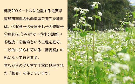 【新感覚!!】そばの実をかけて食べるぷりん 2種 合計12個【売切必至!!かしま自然農園のこだわりが詰まった人気のプリン】「ザクッ！とろっ！甘じょっぱい！」「ザクッ！とろっ！香ばしい！」蕎麦の実プリン C-96