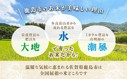【定期便3回】令和7年産 鹿島市産 [さがびよりor夢しずく] 5kg 1袋 合計15kg 【品種指定不可】 玄米 精米 F-92