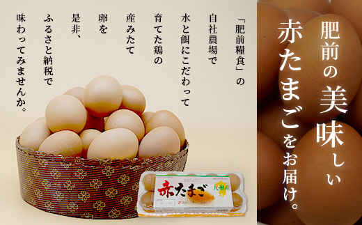 【鹿島市産のたまご】肥前のおいしい赤たまご　６０個（５５個＋破損補償５個入り）　B-711　佐賀県鹿島市