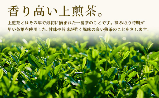 【ギフトにおすすめ】 佐賀県産 上煎茶 うれしの茶 100g×1本 レターパック配送 美味しいお茶を贈り物に ご自宅用にもおススメ AA-49