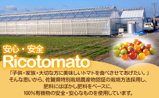 【先行予約】 カラフルミニトマト 『Ricotomato』 【1kg×4回定期便】 【2026年1月から出荷】 F-25