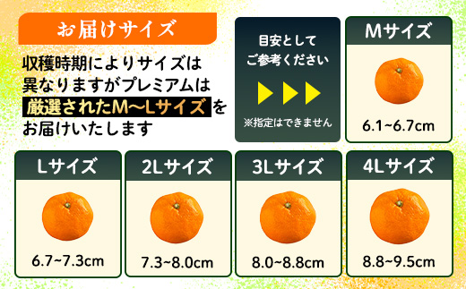 【2026年11月中旬頃～12月頃配送予定】プレミアム黒酢みかん 約5kg (M / Lサイズいずれか ) のし対応 温州みかん B-910