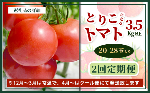 【先行予約】 たにぐちファーム とりこになるトマト 【3.5kg以上×2回定期便】【2024年12月から出荷】 Ricotomato トマト B-508