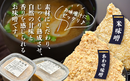 B-247 ãïŒïŒã»ããéå®ã å°å
麹å±ããæäœãã®å³åã»ããïŒïŒïŒïŒïœÃïŒã»ããïŒ