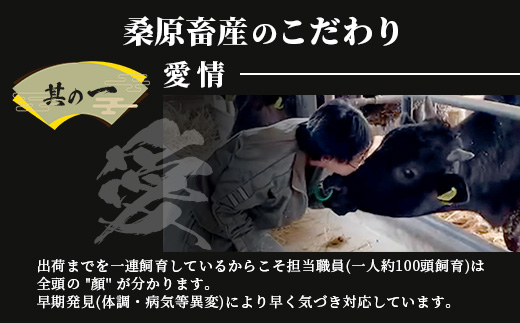 【最短2週間以内発送】大人気の佐賀牛 A5 しゃぶしゃぶ すき焼き & 焼肉セット(各400g) 合計800g 牛肉 セット バラエティ D-206