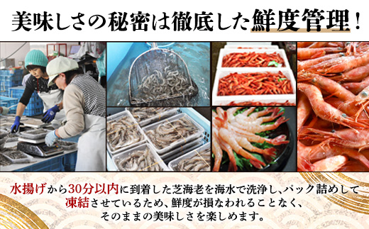 A-143ãåä»åéã å·åãã³ã»ãã(èãã³500gã»ããçãã³20å°ŸïŒ