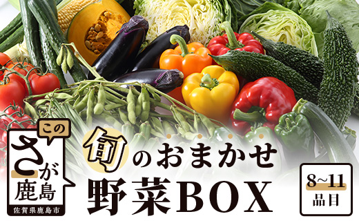 AA-4 旬のおまかせ野菜BOXセット