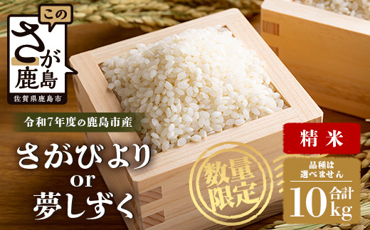 令和7年産 鹿島市産 [さがびより or 夢しずく] 10kg 1袋 【品種指定不可】 精米 白米 E-179