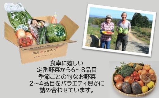 F-20  【6ヶ月お届け】【野菜ソムリエ選定】肥前の国のお野菜定期便