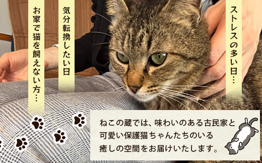 保護猫カフェねこの蔵 カフェ利用チケット｜保護猫カフェ 猫 古民家カフェ チケット 保護猫 支援 鹿島市 猫カフェ カフェ　AA-61