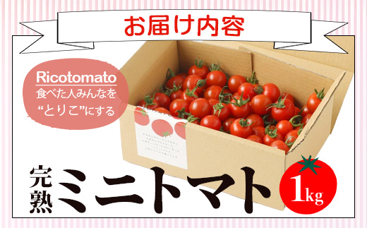 ãå
è¡äºçŽãã2025幎12æäžæ¬ããåºè·ããã«ãã¡ãã¡ãŒã å®çããããã çŽ1kg ãRicotomato ãšããã«ãªããããã B-324