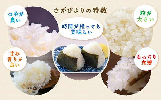 さがびより 新米 令和7年産 佐賀県産 ５kg 白米 C-174 【16年連続 特A評価】