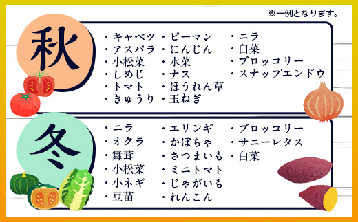 H-13 【１２ヶ月お届け】野菜 旬のおまかせ野菜BOX 8~10品目 | ふるさと納税 野菜 定期便 定期 やさい 野菜セット 詰め合わせ 旬 新鮮 産地直送 大容量 ふるさと 佐賀県 鹿島市 安全安心 リピーター オススメ 人気 送料無料