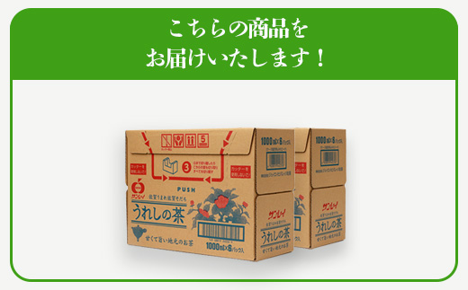 B-662 うれしの茶【1,000ml×6本入】×2ケース(嬉野茶葉 100%) 佐賀銘茶 緑茶 紙パック 大型容器