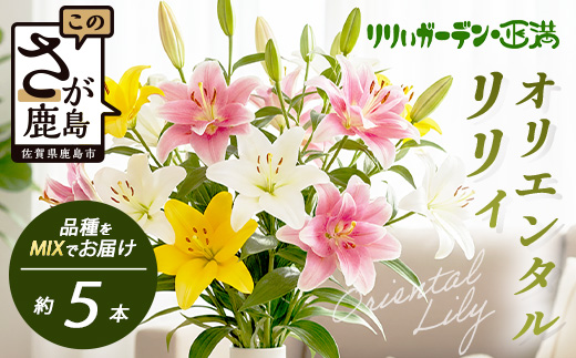 【生産者直送】【幸せと笑顔を届けるオリエンタルリリィ（約5本）】ユリ 百合 花 切り花 フラワー 艶やか 美しい 華やか 可憐 鮮やか 長持ち 強い 有機肥料 自然 人気 ラッピング プレゼント 贈り物 贈答 佐賀県 鹿島市 送料無料 B-313