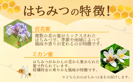 鹿島市産 天然の恵み 100% はちみつ 600g 化粧箱入 B-806 ハチミツ 蜂蜜 ハニー 天然はちみつ 天然蜂蜜 国産