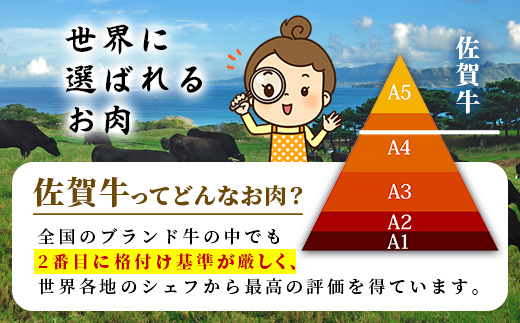 【個装フィルムで便利】 佐賀牛 すき焼き モモ (約500g) (2~3人前) 小分け 贈答 プレゼント D-245