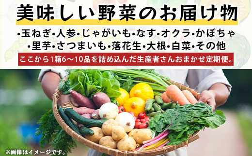 【生産者直送】鹿島市産　生産者おまかせ野菜２回定期便（夏５月～７月、秋９～１１月）　B-739